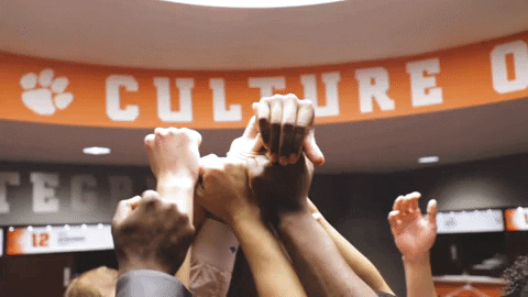 Go Tigers Family GIF by Clemson Tigers