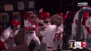 Celebrate Kyle Schwarber GIF by MLB