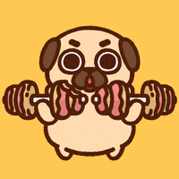Working Out GIF by Puglie Pug