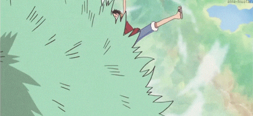 one piece otaku GIF