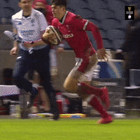 World Rugby GIF by Guinness Six Nations