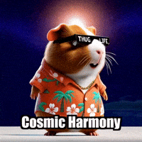 Connection Cosmic Harmony GIF by Guinea Gambino
