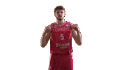 Game Basketball Sticker by FIBA
