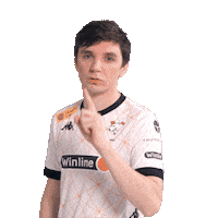 Counter-Strike Bears Sticker by Virtus.pro
