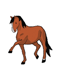 hoyfeldfumiapp stable pferd mash pferde Sticker