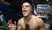 wwe fan GIF
