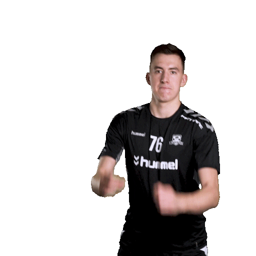 hattrick-brno sport floorball salibandy innebandy Sticker