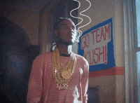 Music Video Smoking GIF by Fetty Wap