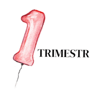 budenasvic mama miminko tehotenstvi tehotna Sticker