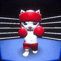 Never Give Up Fighting GIF