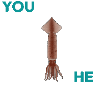 Game Revolve Sticker