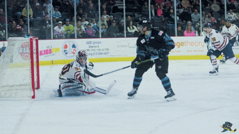 Happy Fired Up GIF by Quad City Storm