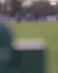 West Brom Football GIF by West Bromwich Albion