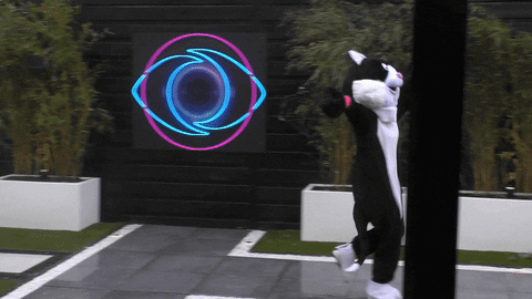 Cat Dancing GIF by Big Brother 2021
