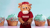Birthday Celebrate GIF by CSUDHTeddyToro
