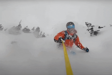 GIF by Odell Brewing Company