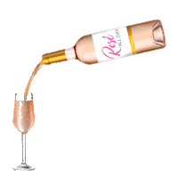 Pool Party Wine Sticker by The Wright Group