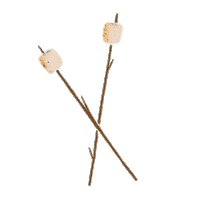 Toasted Marshmallow Campfire Sticker by Our Second Nature