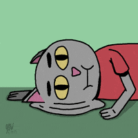 cat GIF by Jared D. Weiss