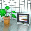 still life plant GIF by jjjjjohn