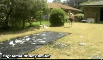 funny picture GIF