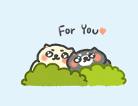 For You Cute Cat GIF