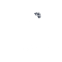 weareraisingthebar subscription box raising the bar alcohol-free no hangover Sticker