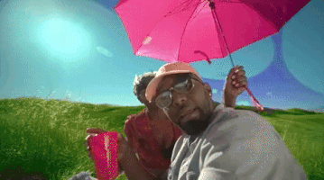 felly felly wide angle GIF