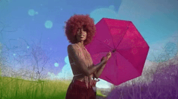 felly felly wide angle GIF