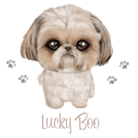 Dog Boo Sticker