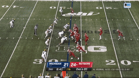 aaronmcmann giphyupload michigan football noah vedral daxton hill GIF