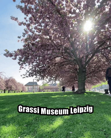 Leipzig Grassi GIF