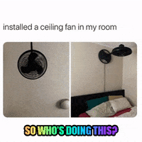 Funny Gif GIF by Memes