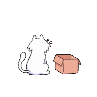 Cat If I Fits I Sits Sticker by doodles