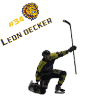 Goal Hockey Sticker by EHC Waldkraiburg