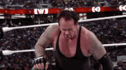 wrestlemania 31 wrestling GIF by WWE