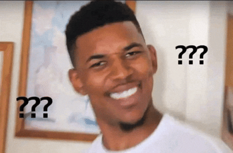 What Do You Mean GIF