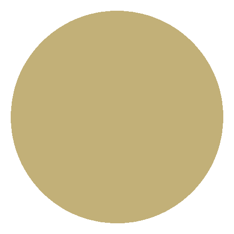 Circle Dots Sticker by Brand by Mirelle