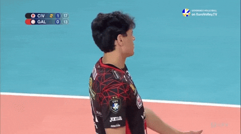 Volleyball Italia GIF