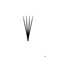 dance love Sticker by Lash Couture