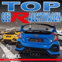 FugelGruppe car honda suzuki kia GIF