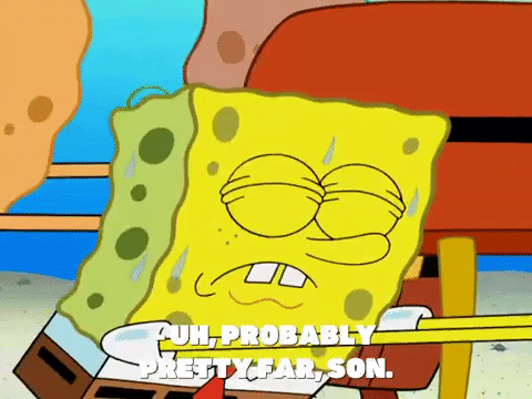 season 8 spongebob's runaway roadtrip: a squarepants family vacation GIF by SpongeBob SquarePants