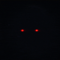 skull glow GIF by Erica Anderson
