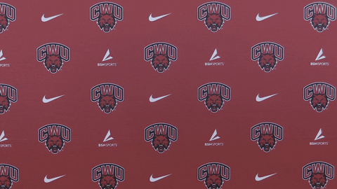 Volleyball Wildcats GIF by CWU Athletics