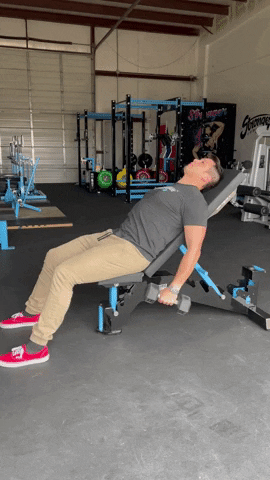 megsquats giphyupload GIF