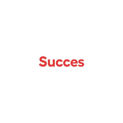 Succes Sticker by Curio