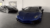 Aston Martin Supercar GIF by PaddlUp