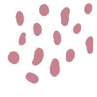 Taravanderven Sticker