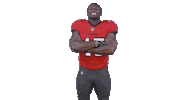 Tampa Bay Football Sticker by Tampa Bay Buccaneers
