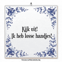 Humor Nl GIF by Tegelspreuken.nl